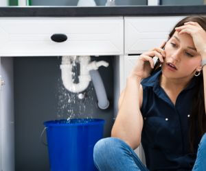 About Sewer Line Pros Docena, AL